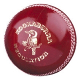 Cricket Balls